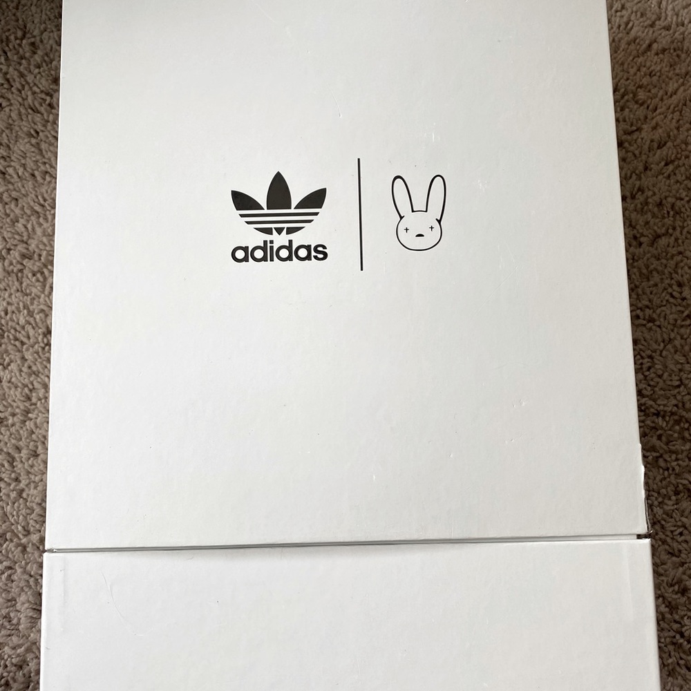 Bad Bunny Forum The First